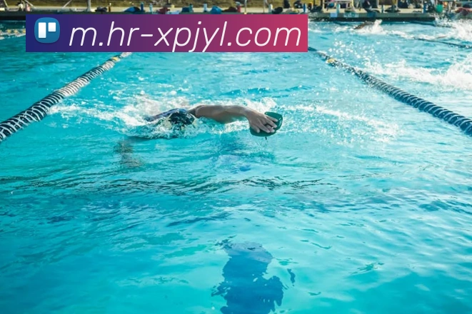 新葡京娱乐APP 体育赛事宣传图